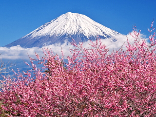 2026�N2��1��