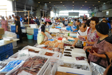 新鮮な魚介類の販売