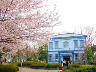 桜と歴史的建造物の風景