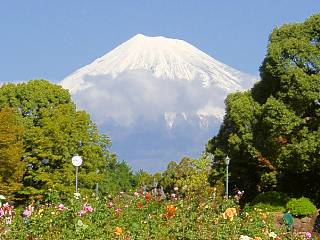 公園入り口近くにあるバラと富士山