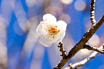 ���炫���~���ꕔ�ō炫�o���Ă���