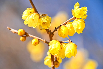 �J�Ԃ���X�~�̃Y�[���A�b�v