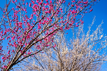 �ꕔ�ōg���̔~�̋������y���߂�