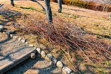 ���肳�ꂽ�~�̎}���ς܂�Ă���