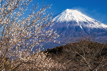 �J�Ԃ��i�ޑ��炫�̔��~�z���̕x�m�R