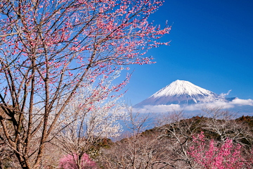 �J�Ԃ��i�ލg���̔~�ƕx�m�R