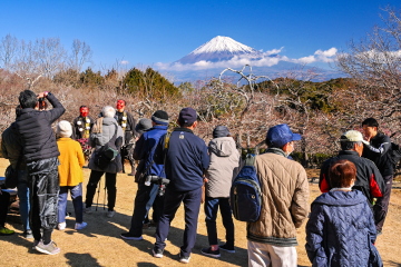 �~�}�z�z�œ��키�~����