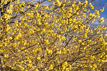 �X�~�͂܂��܂������������Ă�����