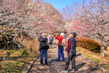 �v���v���ɔ~���y���ސl�œ��키