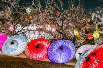 �a�P�⎆�o���h�����^���őf�G�ɍʂ���