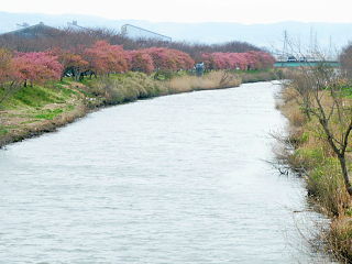 桜並木西側の橋からの眺め