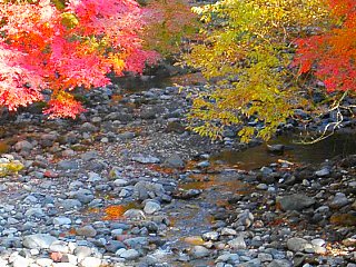 須津川渓谷の紅葉 (写真クリックで紅葉のページへ)