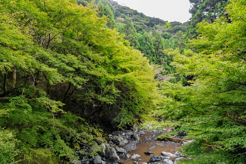 Ȋ̉ɂOڋt ݂͂܂XƂ