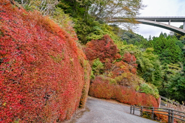 Ȋ꒓ԏ hE_ccWԂȂČ}