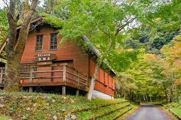 ȊLvt ꕔŐFtn߂؁X