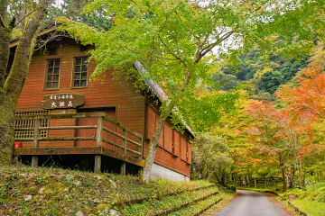 ȊLvEI FtĂ؁XXɑĂĂ