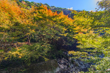 Ȋ̉ɂOڋt 쉈݂̂͊OFtĂ