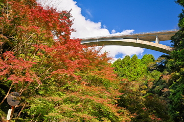 Ȋ꒓ԏO ݂̐Fti݂