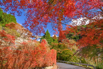 Ȋ꒓ԏt hE_ccWƂ݂̍gty߂