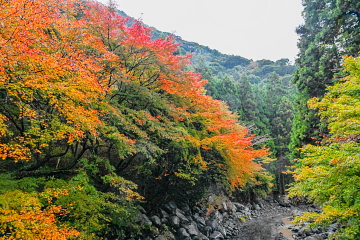 Ȋ̉ɂOڋt 쉈݂̂̍gtiłĂ