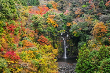 {ÌkJ璭߂Ȋ ӂ̖؁X̍gt}Y킾