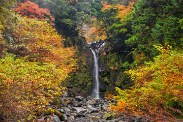 Ȋ̎O gtiޖ؁XƗ̕iy߂