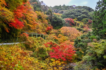 Ȋӂ̎R Ԃ≩Fɐ܂؁X