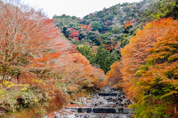 �͎�������̒��� ���t���i�݂��邪�g�t���Ă���؂�������