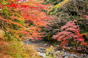 ��I�̑��艺�����̐쉈�� ���X�ɂ܂��Y��ȍg�t��������