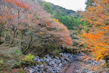 ��I�̑�̉����ɂ���O�ڋ��t�� ���݂��͗��t���i��Ŏ₵�����i�ɂȂ����