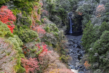 �{�Ìk�J�����璭�߂���I�̑� ���X�ɂ��݂��̍g�t���c���Ă���