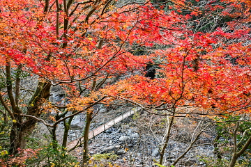 �ꌩ���t�߂̒��� �x���F�t�������݂��̍g�t�Ƌ��̕��i