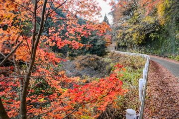 ��I�̑��O�̓��H���� �܂��c��g�t���y���߂�