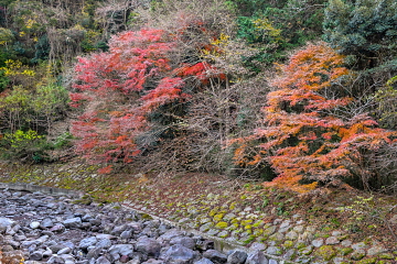 ��I�̑��艺�����̐쉈�� ���t���i��ł��邪���X�ł܂��g�t��������