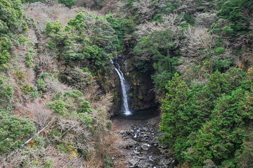 �{�Ìk�J�����璭�߂���I�̑� ����ӂ̖؁X�͂قڗ��t���Ď₵�����i��