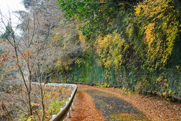 ��I�̑��O�̓��H���� �ꕔ�ɂ܂��g�t���c���Ă���