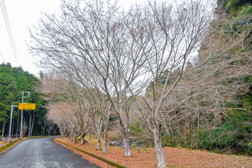 �������̓��H���� ���݂����؂͂������藎�t���ė����t���~��ς���