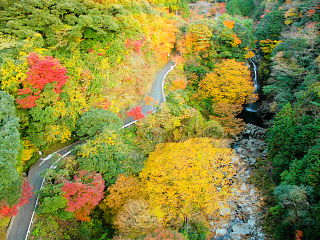 須津渓谷橋からの滝と紅葉の眺め