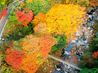 須津渓谷橋から真下の渓谷と紅葉の眺め