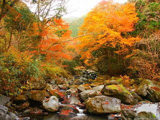 自然が残る渓谷と紅葉の風景