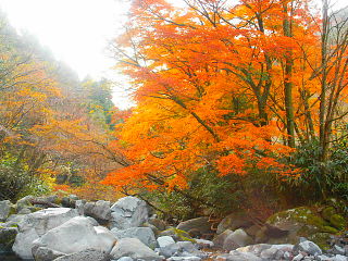 渓谷の岩と紅葉の風景が美しい