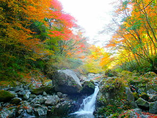 小さな滝と紅葉の風景