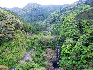 須津渓谷橋からの滝と新緑の眺め