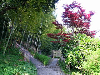 神来の庭から竹採塚に続く遊歩道