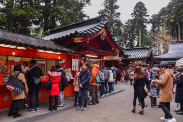 朝から賑わいを見せる箱根神社