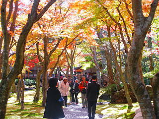 紅葉を眺める観光客
