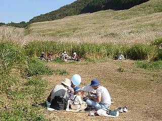 すすき草原で弁当を食べる観光客