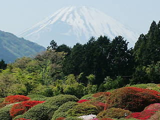 富士山もうっすら見えた