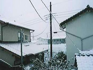 めったに見られない銀世界