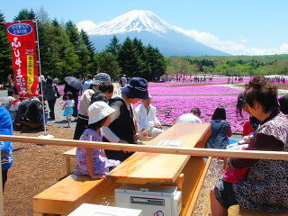 富士山と芝桜を眺めながら足湯もできる